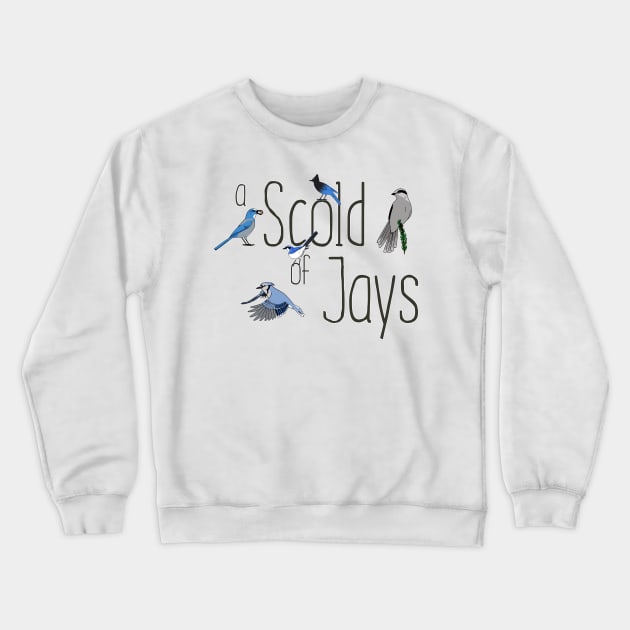 Collective Nouns - Jays Crewneck Sweatshirt by Feathered Focus